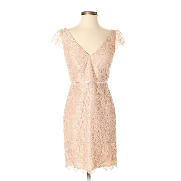 NWT Jenny Yoo Bridgitte Lace Dress- Blush - Picture 1 of 8